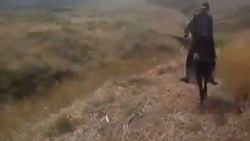 Köpeği gören eşek sahibini üstünden fırlattı İZLE