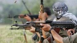 Kürtler PKK'lılara kapılarını açmadı