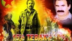 Rusya'nın başkenti Moskova'da PKK konseri