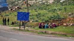 Hama'dan kaçan binlerce Suriyeli Türkiye'ye giriş yaptı