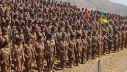 PKK'nın 600 kişilik kanlı planı