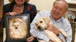 Köpekleri ölünce yenisini yaptırdılar