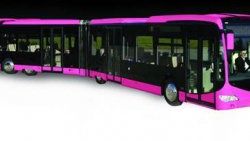 Pembe metrobüs için 60 bin imza topladılar