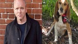 Ünlü yazar Lehane'dan köpeğini bulana ilginç ödül