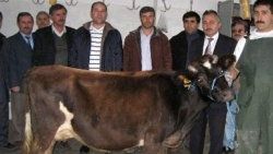 Halk Eğitim Merkezi'nde kurban kesim elemanı