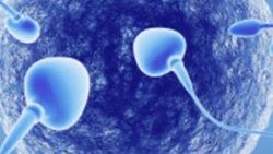 İnsan derisinden sperm