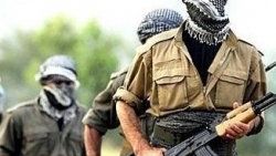 PKK: Tunceli milletvekilleri istifa etsin