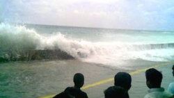 Tsunami nedir