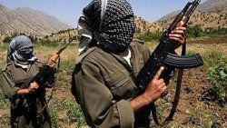 PKK'nın Avrupa'daki kasası tutuklandı