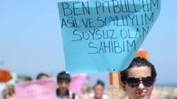 Sokak köpekleri için yürüdüler