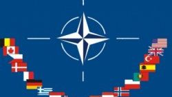 NATO'da olağanüstü toplantı