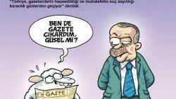 Penguen'den bayram kapağı