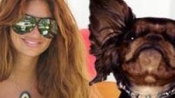 Süreyya Yalçın'dan köpeğine pırlanta kolye