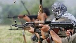 PKK itirafçısından Ahmet Kaya itirafı