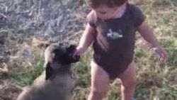Bu video tık rekoru kırıyor