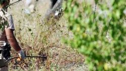 Afyon'da zarar görenlere tazminat ödenecek