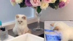 2 dadısı bir de iPad'i var
