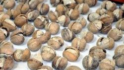 Böylesi görülmedi: Ceviz içinde eroin