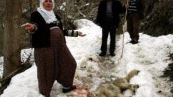 Kurdu taşla öldürdü - Galeri