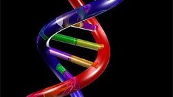 DNA'dan göz ve saç rengi tespiti
