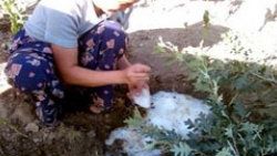 Yaz ortasında gökyüzünden buz düştü