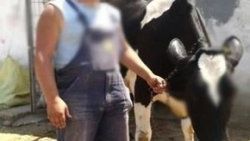 Kırklareli'nde ineğe tecavüz iddiası