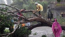 Filipinler'de Bopha tayfunu kabusu bitmedi