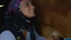Saba Tümer'in kahkahası ineği kızdırdı