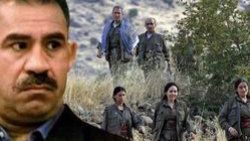 İşte PKK'nın kuruluş şeması