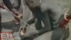 Afrika yerlilerinin kan donduran av taktiği