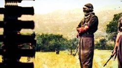 Teslim olan PKK'lıdan şaşırtan ifade