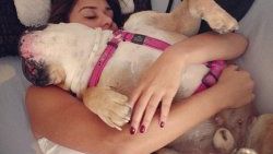 Ebru Şancı köpeğiyle birlikte uyuyor