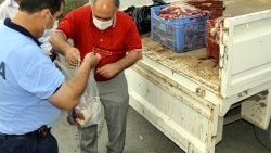 Kesilmeyi bekleyen atlar son anda kurtarıldı
