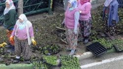 10 Kasım'da günün fotoğrafı