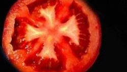 Selefiler: Domates Hristiyan yemeyin
