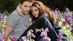 Sokaklar Kristen ve Robert'in afişleriyle süslenecek