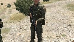 Bordo Bereliler video oyununda