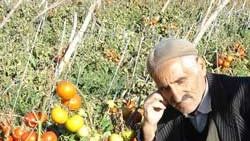 Çiftçilerin ürün isyanı
