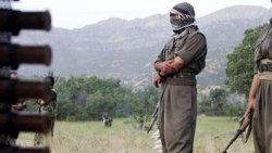 PKK Tunceli'de 2 köylüyü kaçırdı