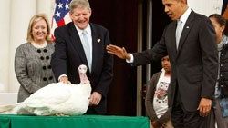 Obama iki hindiyi affetti