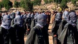 Devlet PKK'yı anlattı