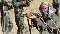 Siirt'te 2 PKK'lı öldürüldü
