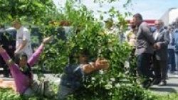 Çay üreticisi Karadeniz Sahil Yolu'nu kapattı