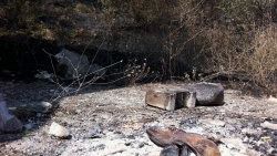 Bursa'da patlıcan közlerken orman yaktılar