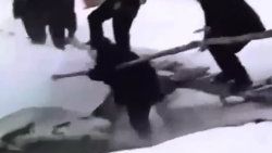 Mihail Saakaşvili dereye düştü