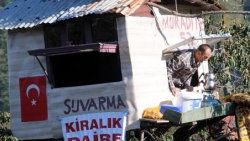 Hurma ağacına ev yaptılar