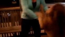 Aslan-köpek karışımı hayvan türü - Video