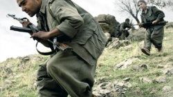 İdil'de 2 PKK'lı yakalandı