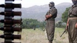 Korucular TBMM'de PKK'yı anlattılar