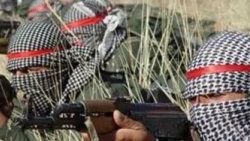 PKK'nın kaçırdığı İngiliz turist ajan iddiası